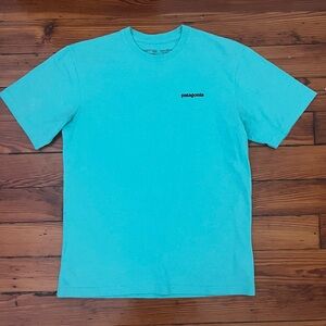 Patagonia T Shirt